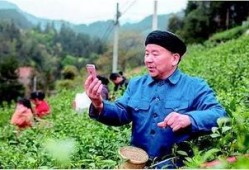 农民网红爆料视频大全最新,揭秘农村生活新视角