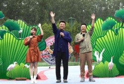 谢楠最新爆料新闻视频,揭秘娱乐圈不为人知的幕后故事