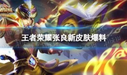 下赛季皮肤最新爆料,神秘爆料揭示华丽变身