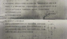 董路直播爆料最新消息是真的吗,最新消息真实性揭秘